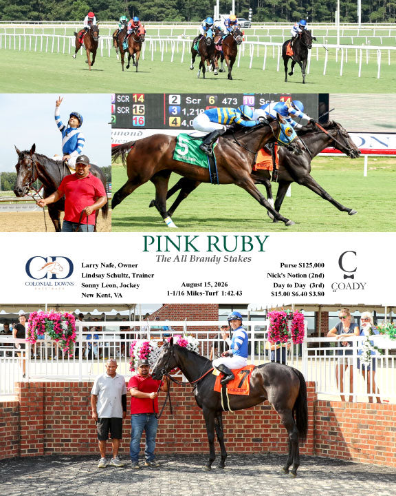 PINK RUBY - The All Brandy Stakes - 08-15-26 - R09 - CNL