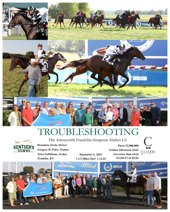 TROUBLESHOOTING - The Ainsworth Franklin-Simpson Stakes G1 - 09-06-25 - R10 - KD