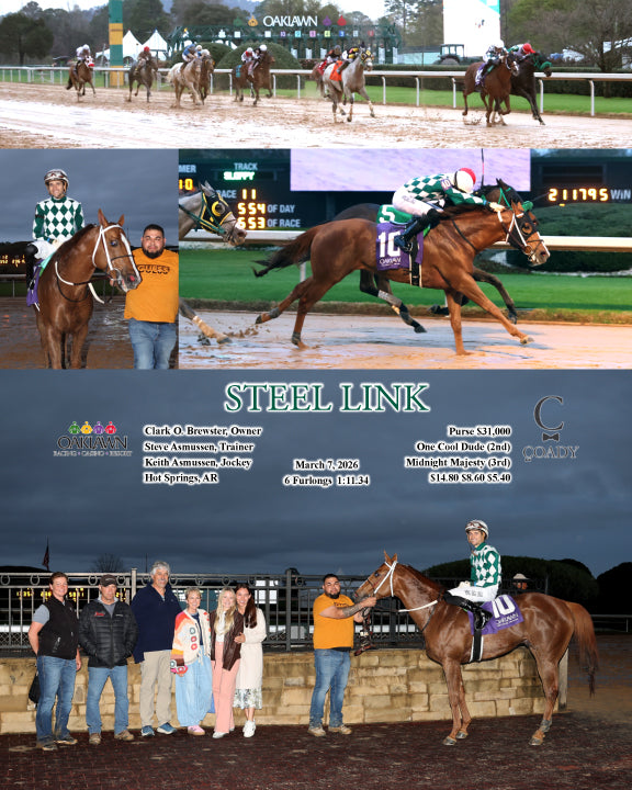 STEEL LINK - 03-07-26 - R11 - OP - Coady Media - Kurtis Coady Photography