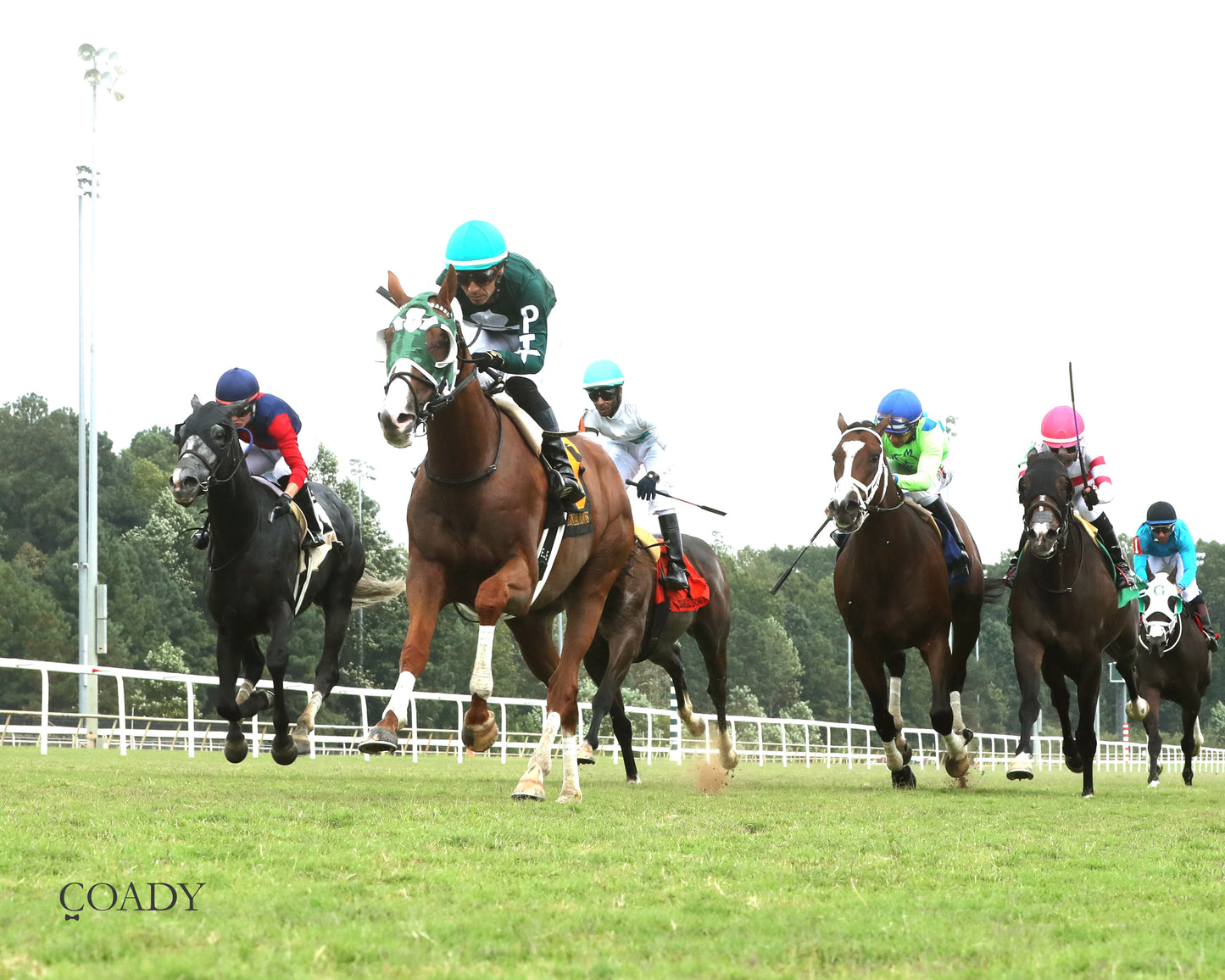SAFE TRIP HOME - The Colonial Cup - 09-06-25 - R06 - CNL - Under Rail 01 - Coady Media - Kurtis Coady Photography