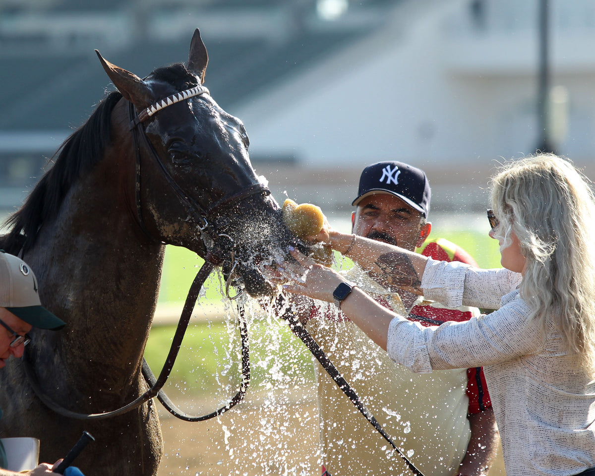 SALAHUDIN - 091226 - Race 10 - CD - Comeback 03