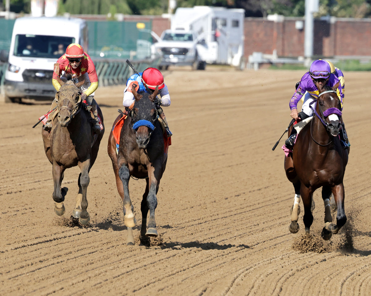 SALAHUDIN - 091226 - Race 10 - CD - Head On 01