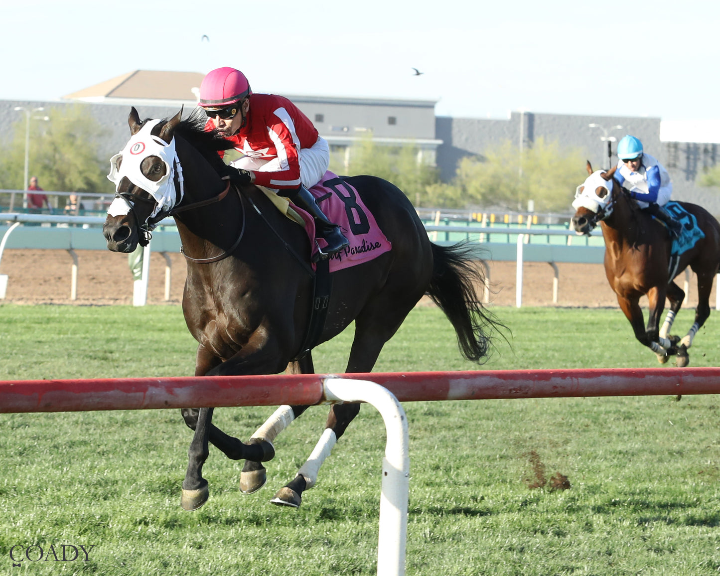 SALINE RIVER - Cotton Fitzsimmons Handicap - 03-21-26 - R07 - Turf Paradise - Inside Finish - Coady Media - Kurtis Coady Photography