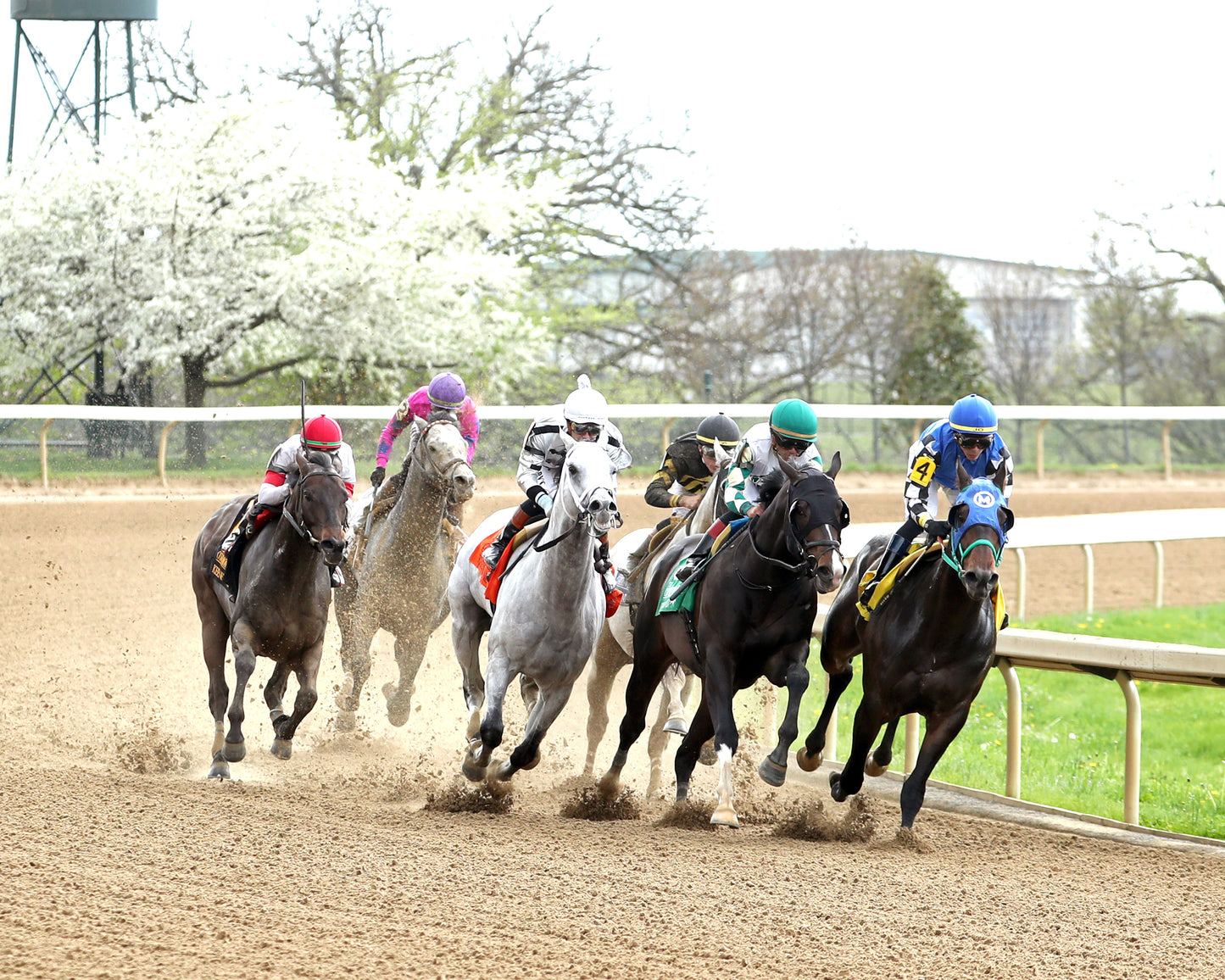 SAUDI CROWN - 040426 - Race 07 - KEE - Turn 01 - Coady Media - Kurtis Coady Photography
