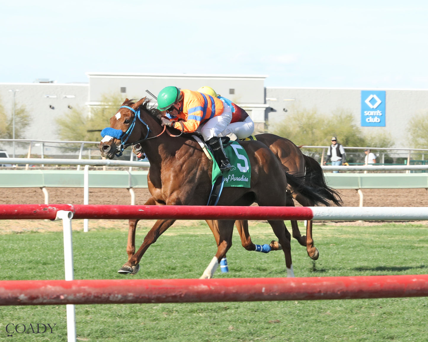 SAYUCAN - Molly P Overnight Handicap - 02-12-26 - R07 - TUP Inside Finish - Coady Media - Kurtis Coady Photography