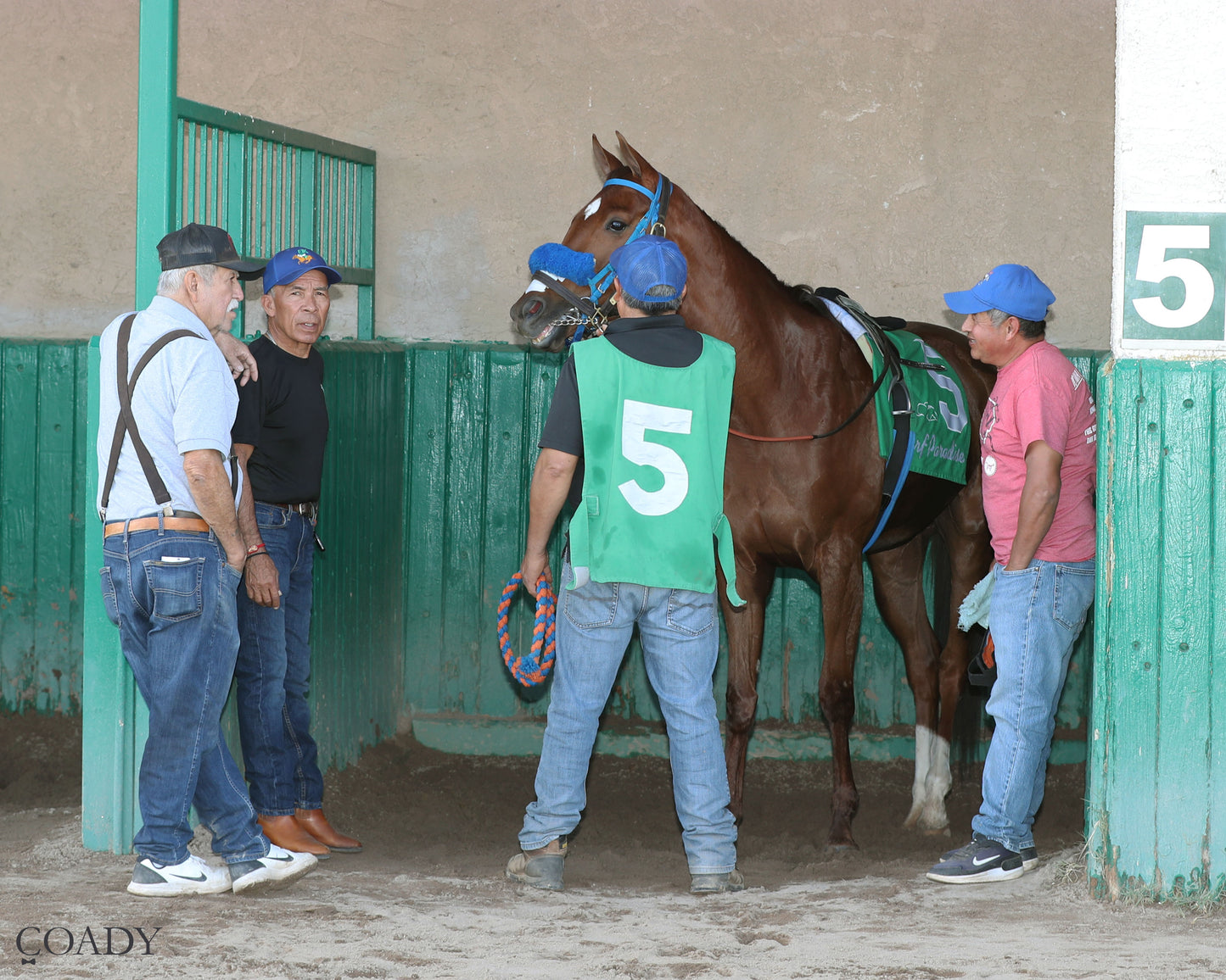 SAYUCAN - Molly P Overnight Handicap - 02-12-26 - R07 - Turf Paradise - Paddock - Coady Media - Kurtis Coady Photography