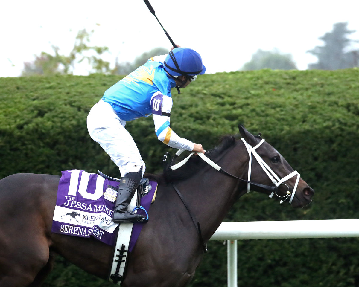 SERENAS GHOST - 100226 - Race 08 - KEE The Jessamine G2 - Celebration 01
