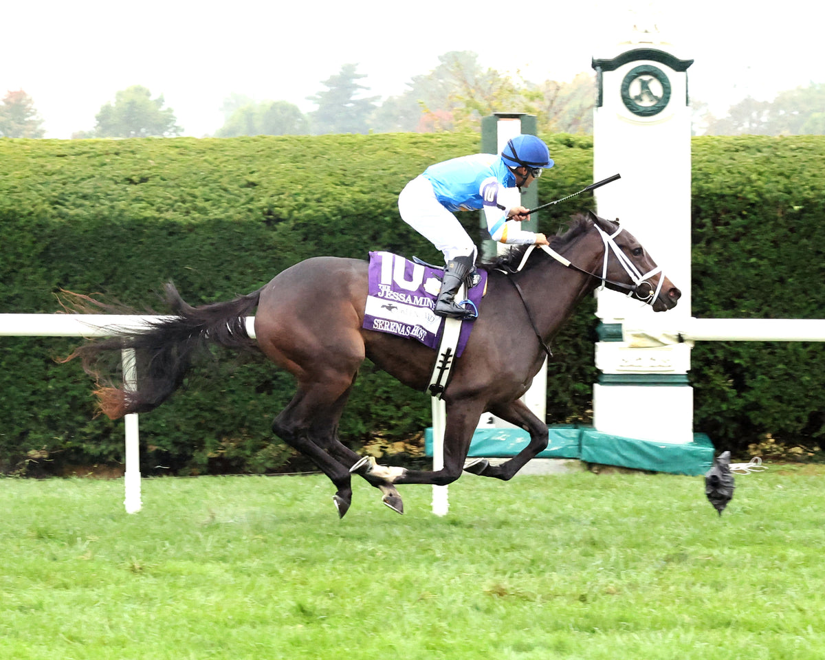 SERENAS GHOST - 100226 - Race 08 - KEE The Jessamine G2 - Finish 01