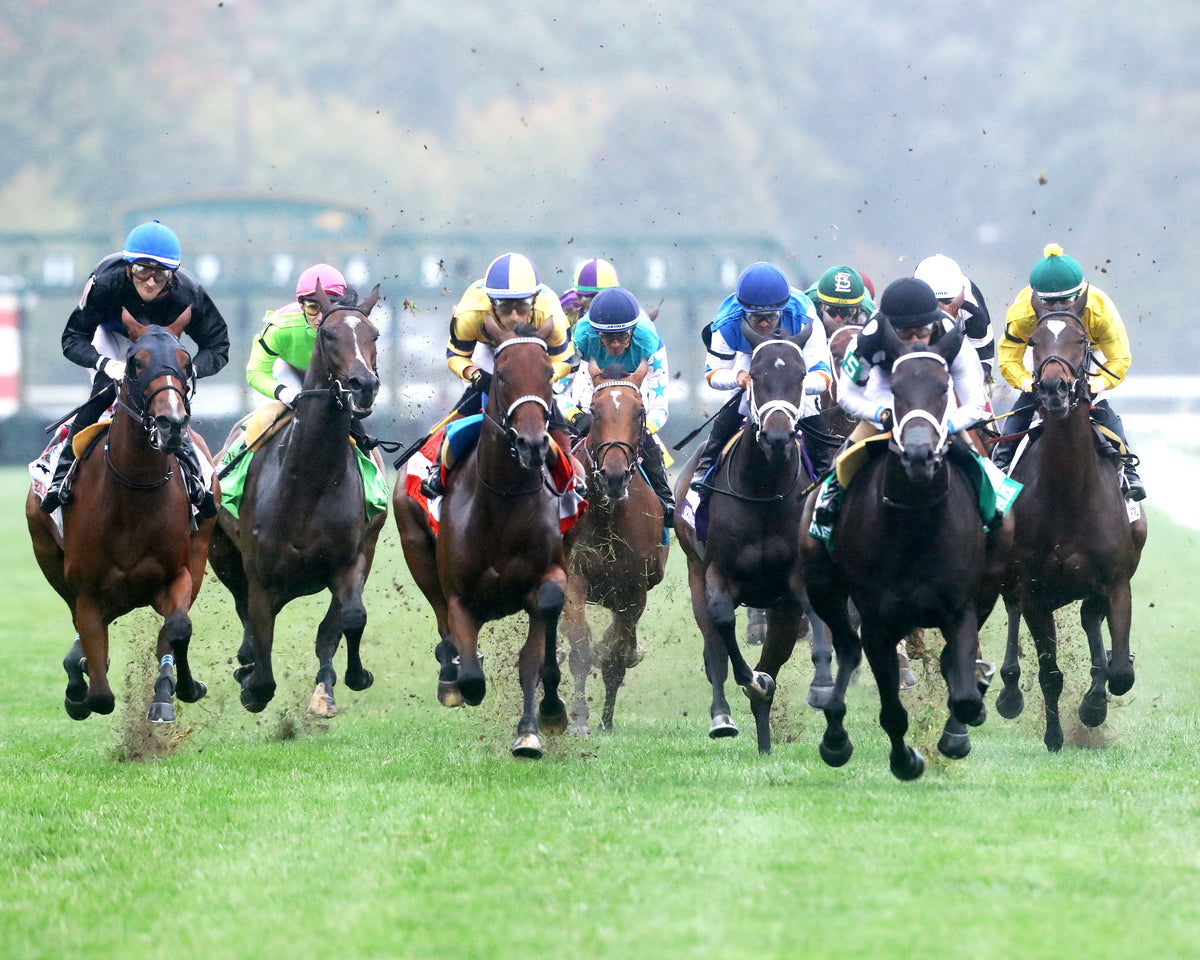 SERENAS GHOST - 100226 - Race 08 - KEE The Jessamine G2 - First Turn 01