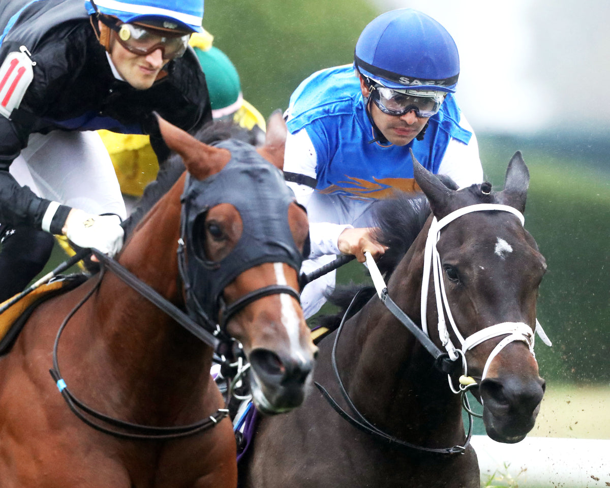 SERENAS GHOST - 100226 - Race 08 - KEE The Jessamine G2 - First Turn 02