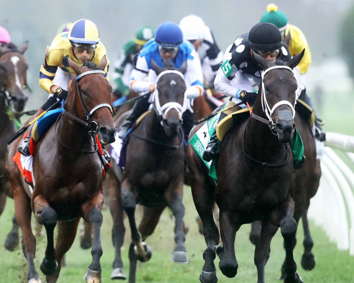 SERENAS GHOST - 100226 - Race 08 - KEE The Jessamine G2 - First Turn 03