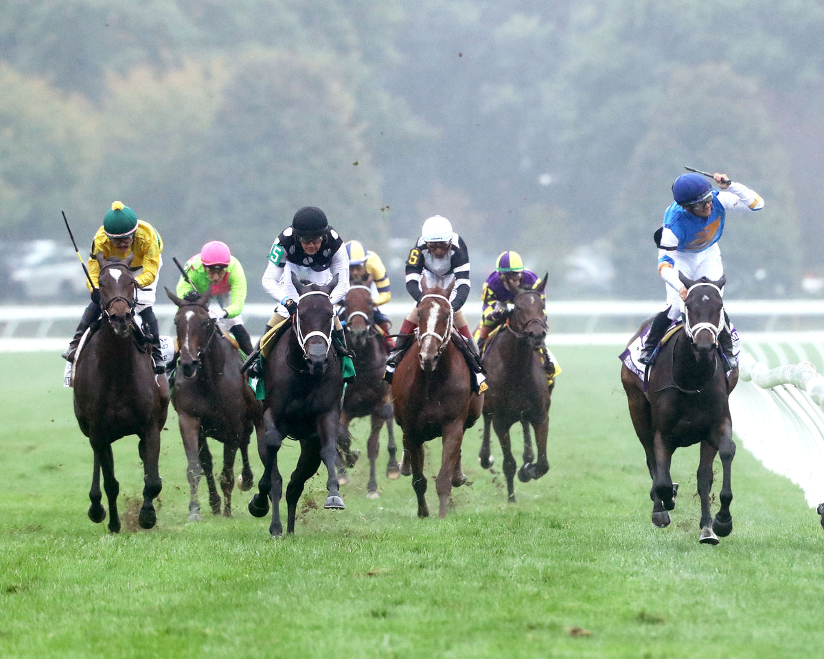SERENAS GHOST - 100226 - Race 08 - KEE The Jessamine G2 - Head On 01