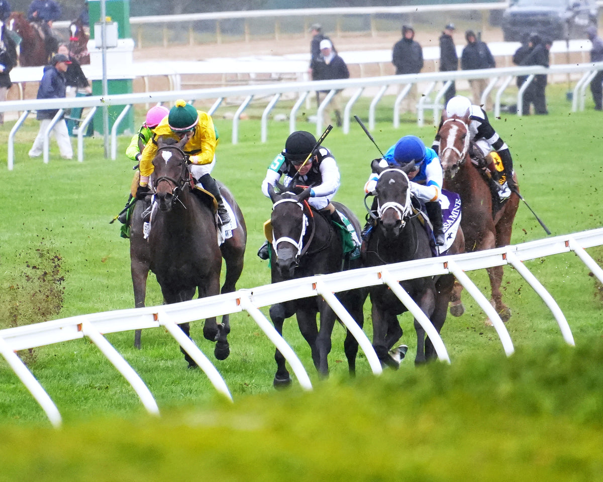 SERENAS GHOST - 100226 - Race 08 - KEE The Jessamine G2 - Inside Finish 01