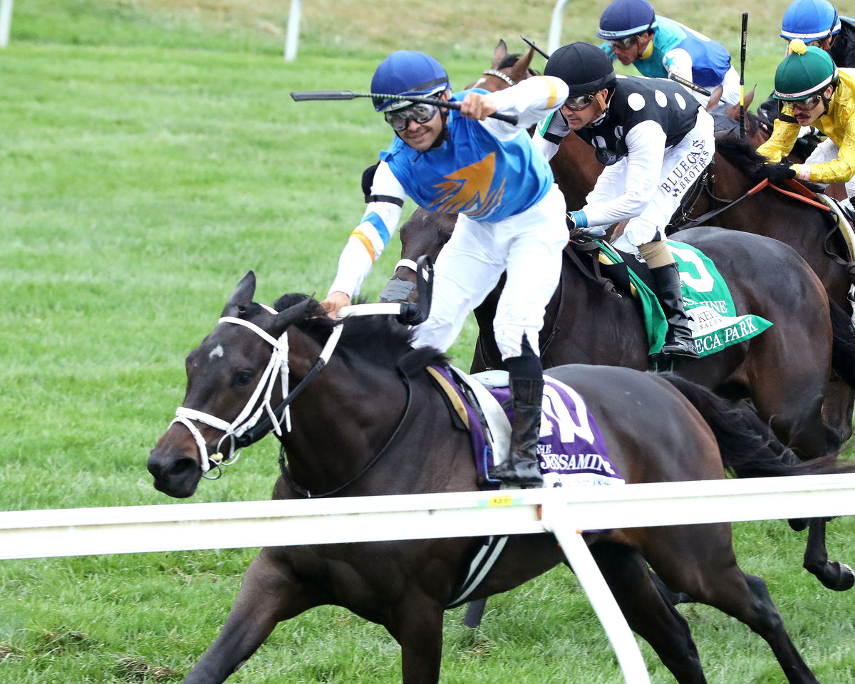 SERENAS GHOST - 100226 - Race 08 - KEE The Jessamine G2 - Inside Finish 02