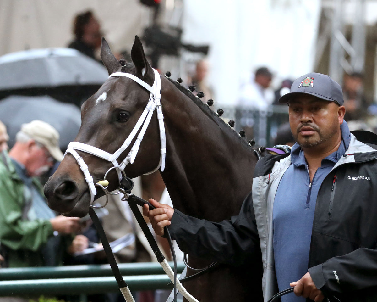 SERENAS GHOST - 100226 - Race 08 - KEE The Jessamine G2 - Paddock 01