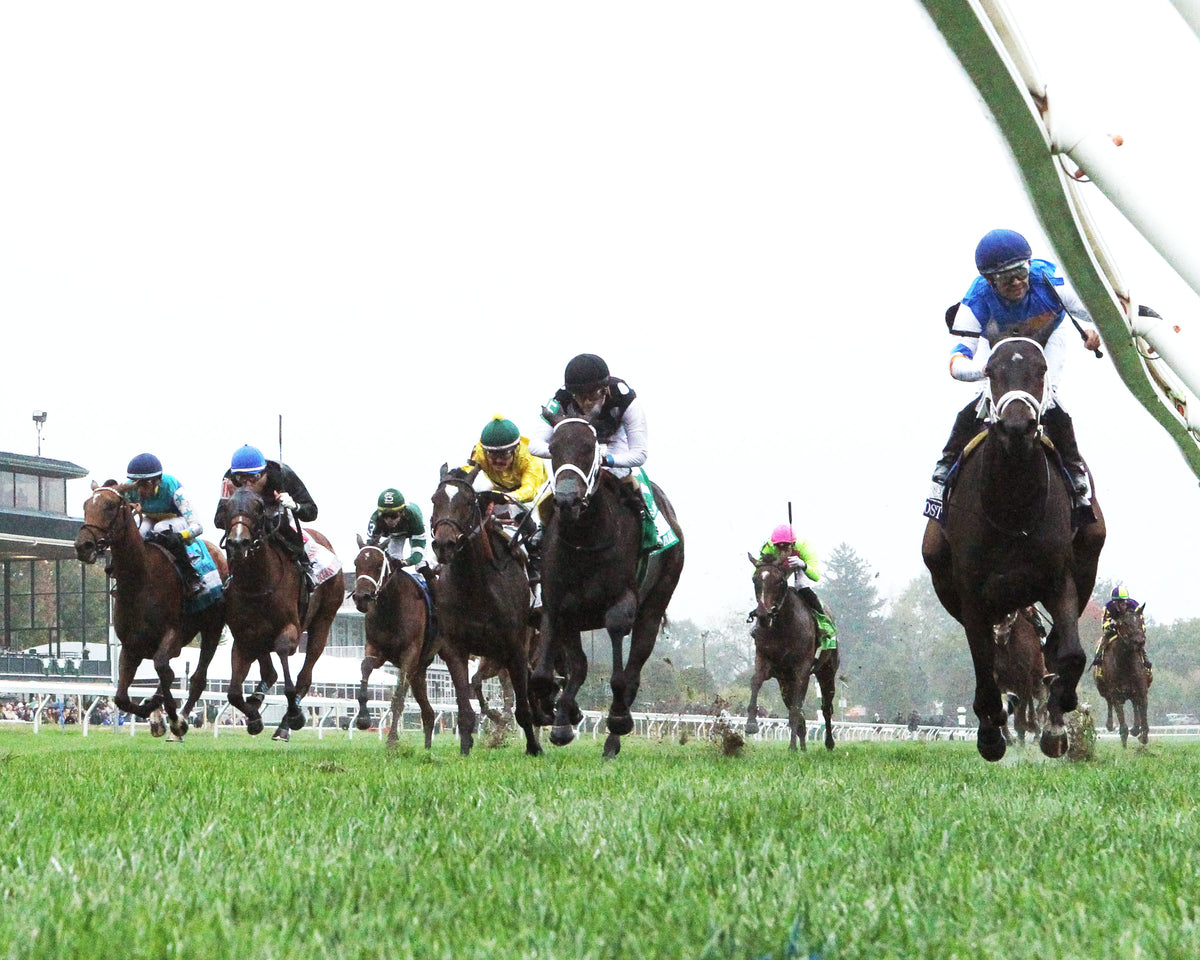 SERENAS GHOST - 100226 - Race 08 - KEE The Jessamine G2 - Under Rail 01