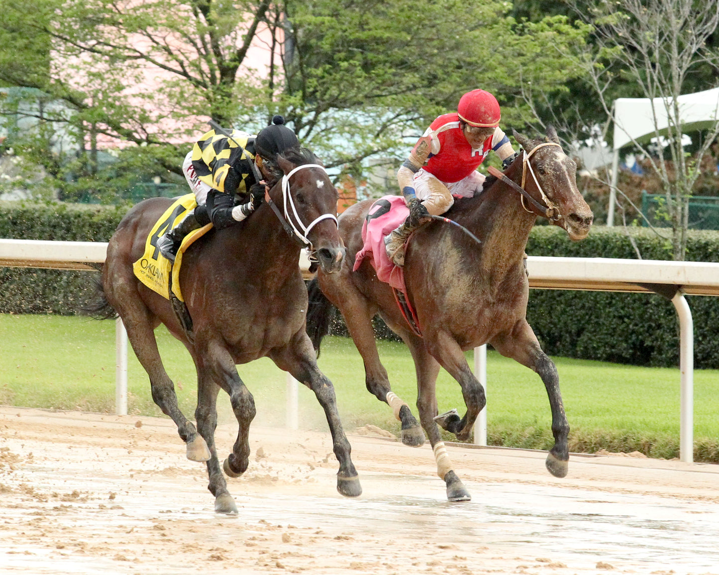SEVENTIES MUSIC - The Rainbow Stakes - 53rd Running - 04-04-26 - R10 - Finish 03 - Coady Media - Kurtis Coady Photography