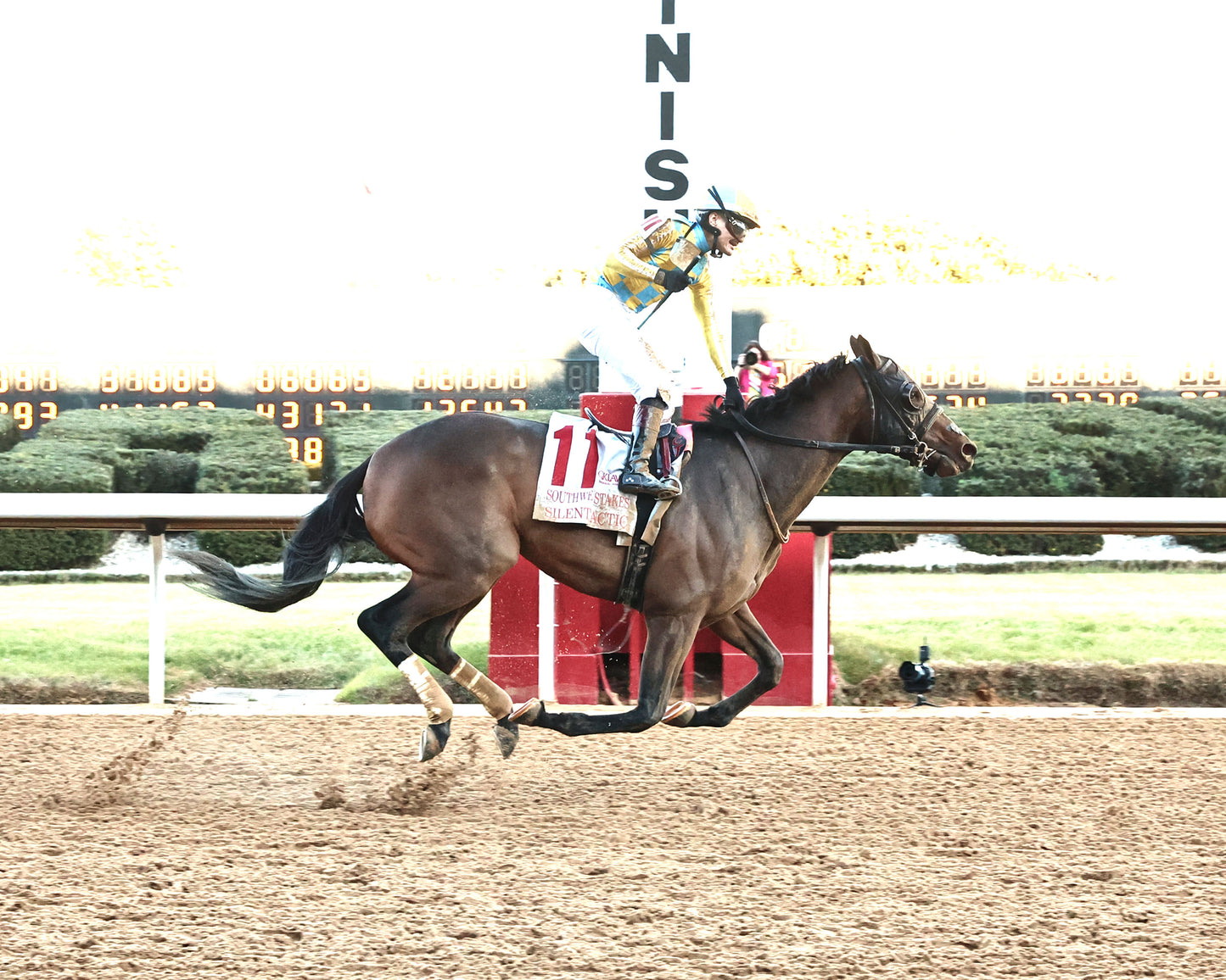SILENT TACTIC - The Southwest Stakes G3 - 02-06-26 - R11 - OP - Finish 01 - Coady Media - Kurtis Coady Photography