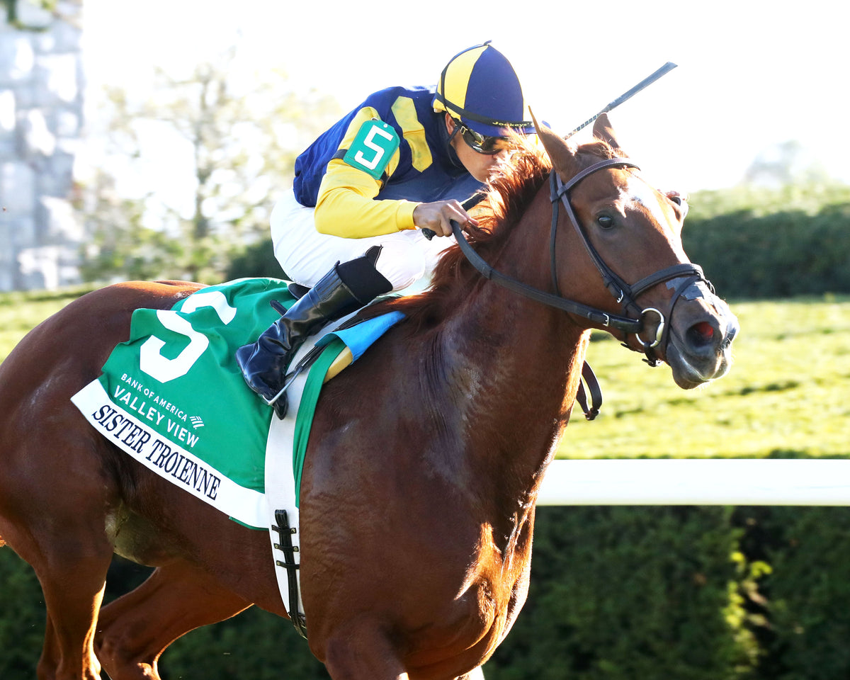 SISTER TROIENNE - 102326 - Race 09 - KEE Valley View G2 - Finish 03