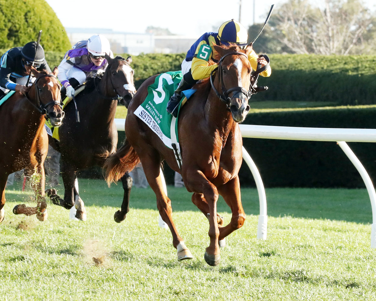 SISTER TROIENNE - 102326 - Race 09 - KEE Valley View G2 - Finish 05