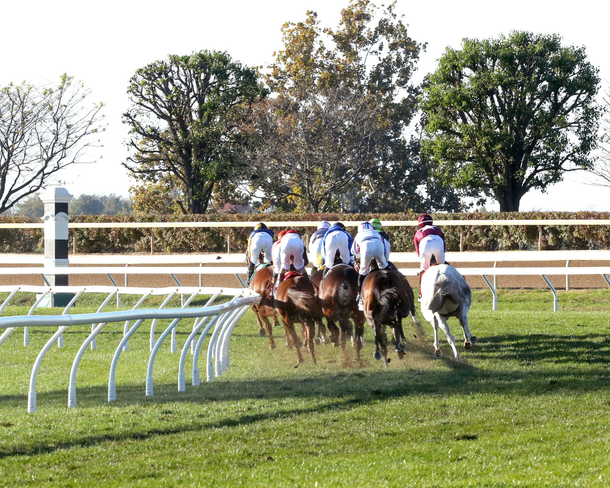 SISTER TROIENNE - 102326 - Race 09 - KEE Valley View G2 - First Turn 01