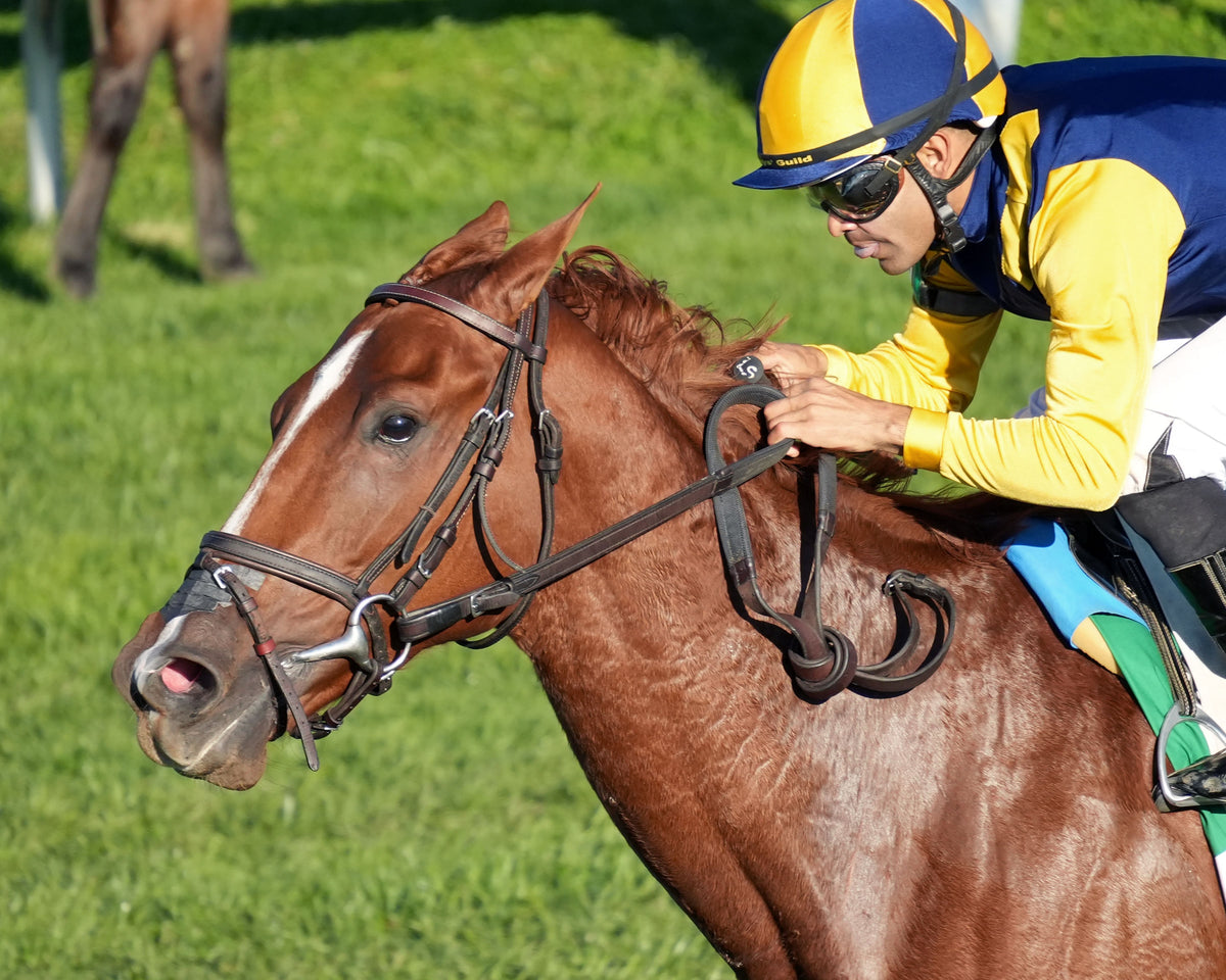 SISTER TROIENNE - 102326 - Race 09 - KEE Valley View G2 - Inside Finish 03
