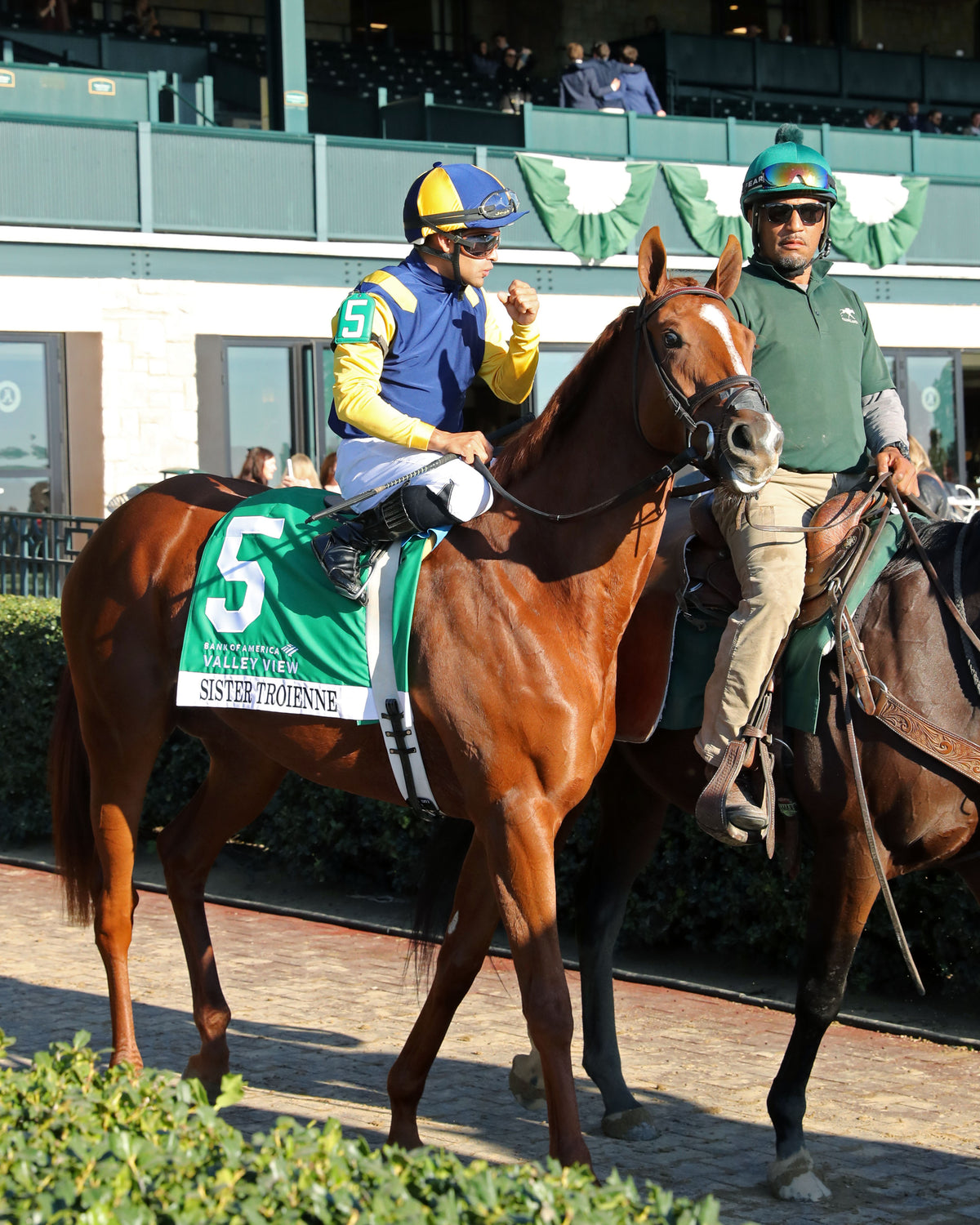 SISTER TROIENNE - 102326 - Race 09 - KEE Valley View G2 - Post Parade 06