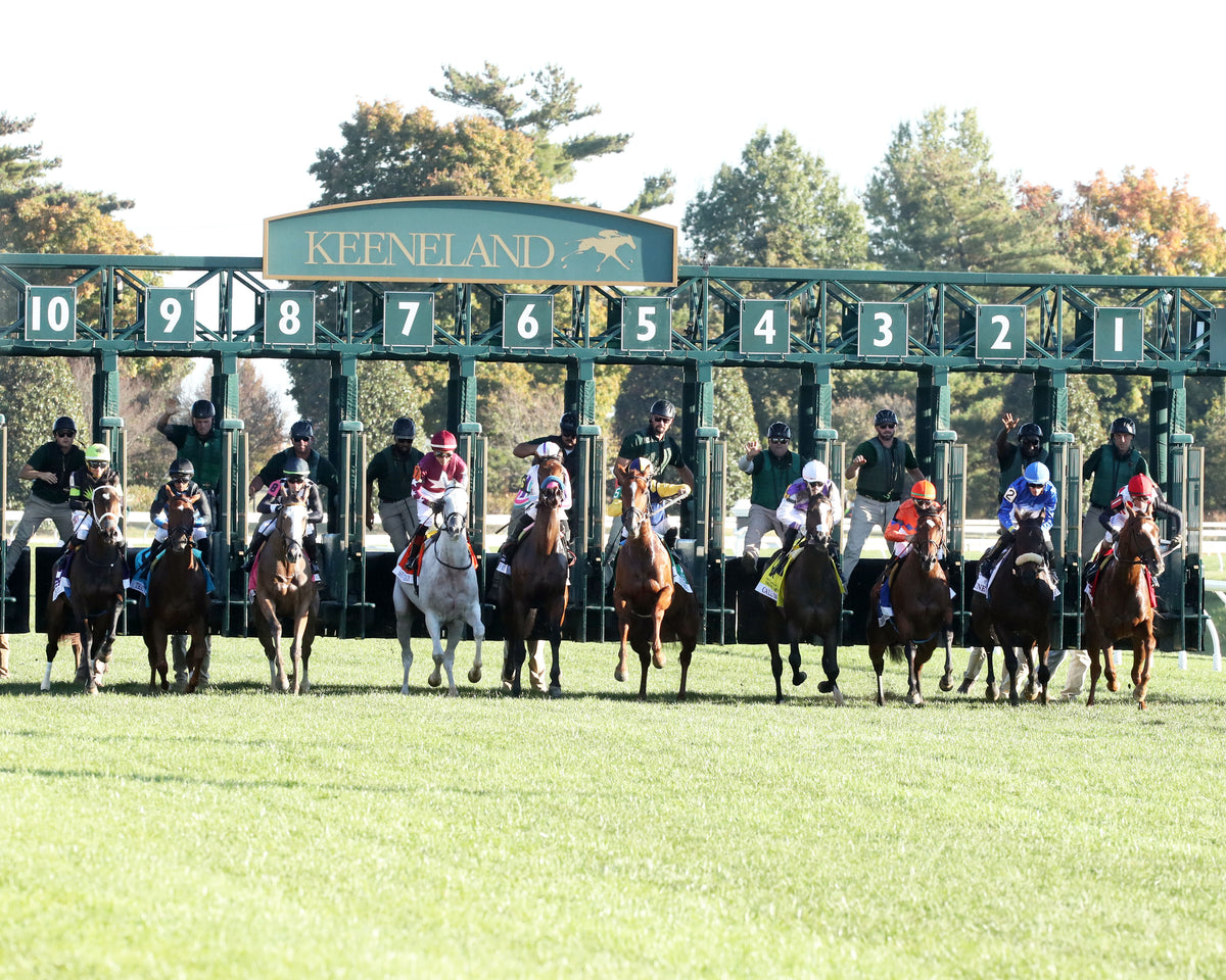SISTER TROIENNE - 102326 - Race 09 - KEE Valley View G2 - Start 01 - Coady Media - Kurtis Coady Photography