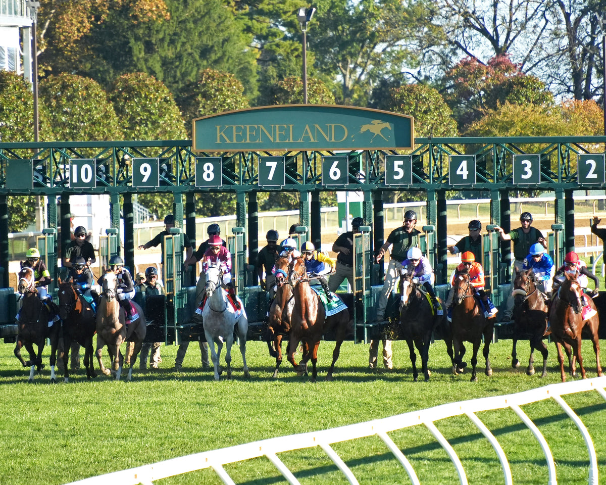 SISTER TROIENNE - 102326 - Race 09 - KEE Valley View G2 - Start 02