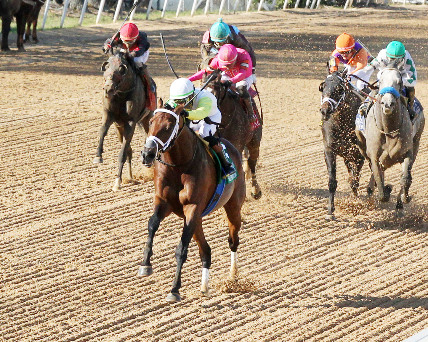 SKIPPYLONGSTOCKING - Essex Handicap G3 - 03-21-26 - R09 - OP - Inside Finish 06 - Coady Media - Kurtis Coady Photography