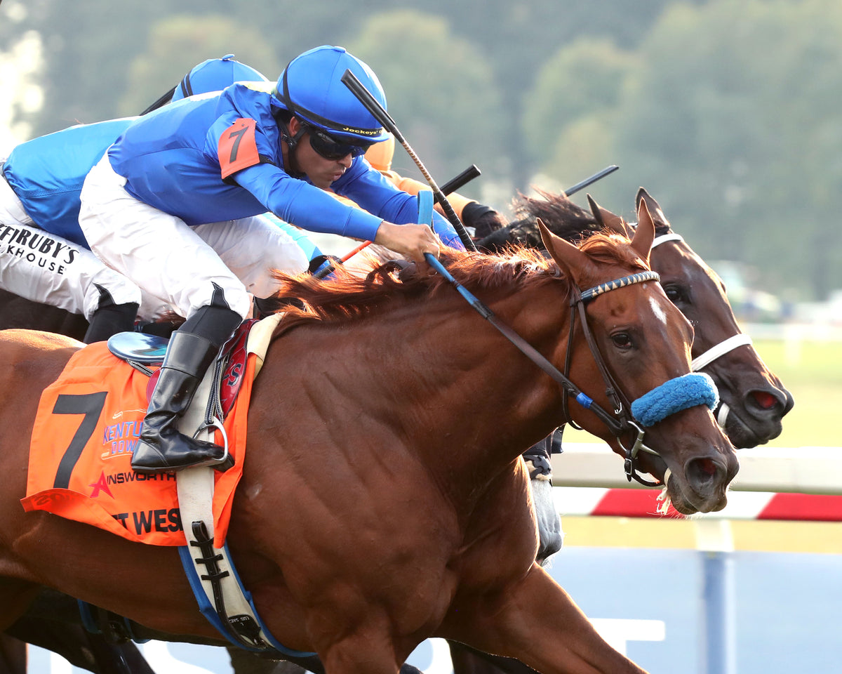 SOMERSET WEST - The Ainsworth Music City Stakes G2 - 09-05-26 - R10 - KD - Finish 05