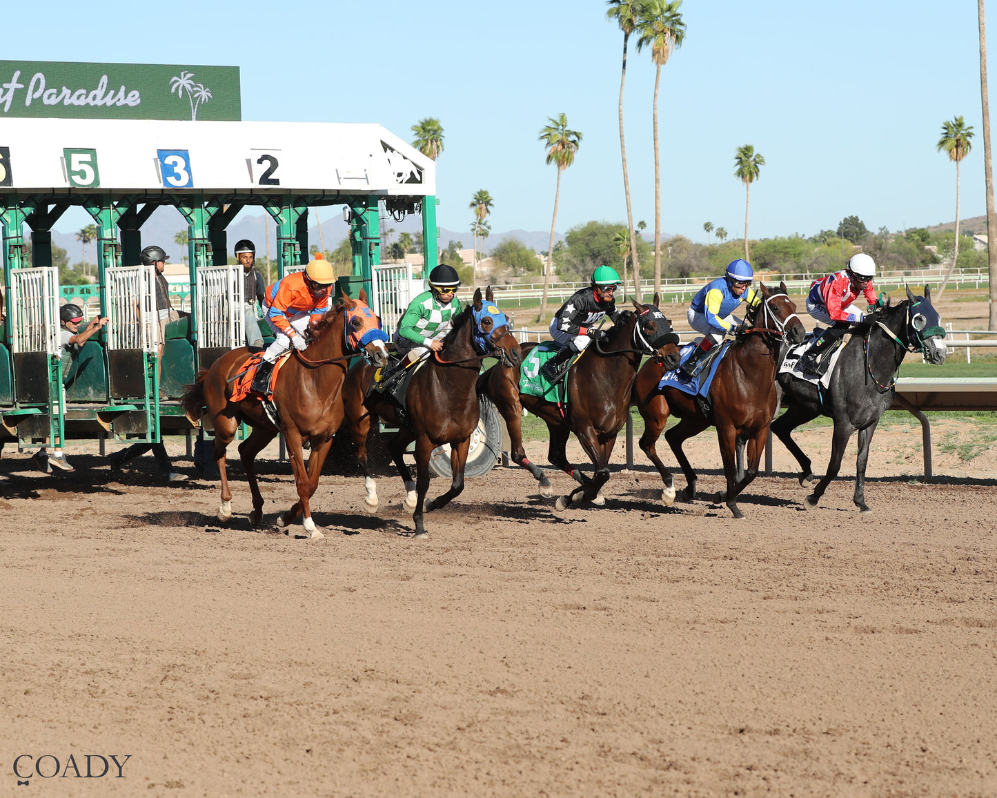 SONG OF SONGS - The Arizona Oaks presented by Taylor Made - 03-21-26 - R06 - Turf Paradise - Start - Coady Media - Kurtis Coady Photography