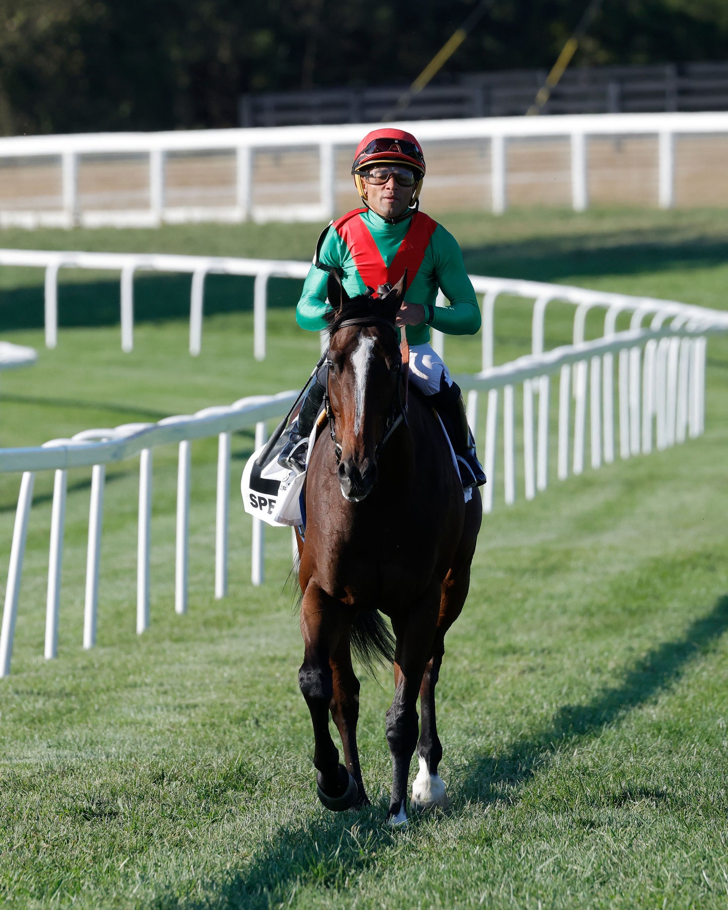 SPECIAL WAN - Resolute Racing Ladies Turf Stakes - 08-30-25 - R11 - KD - Comeback 02 - Coady Media - Kurtis Coady Photography