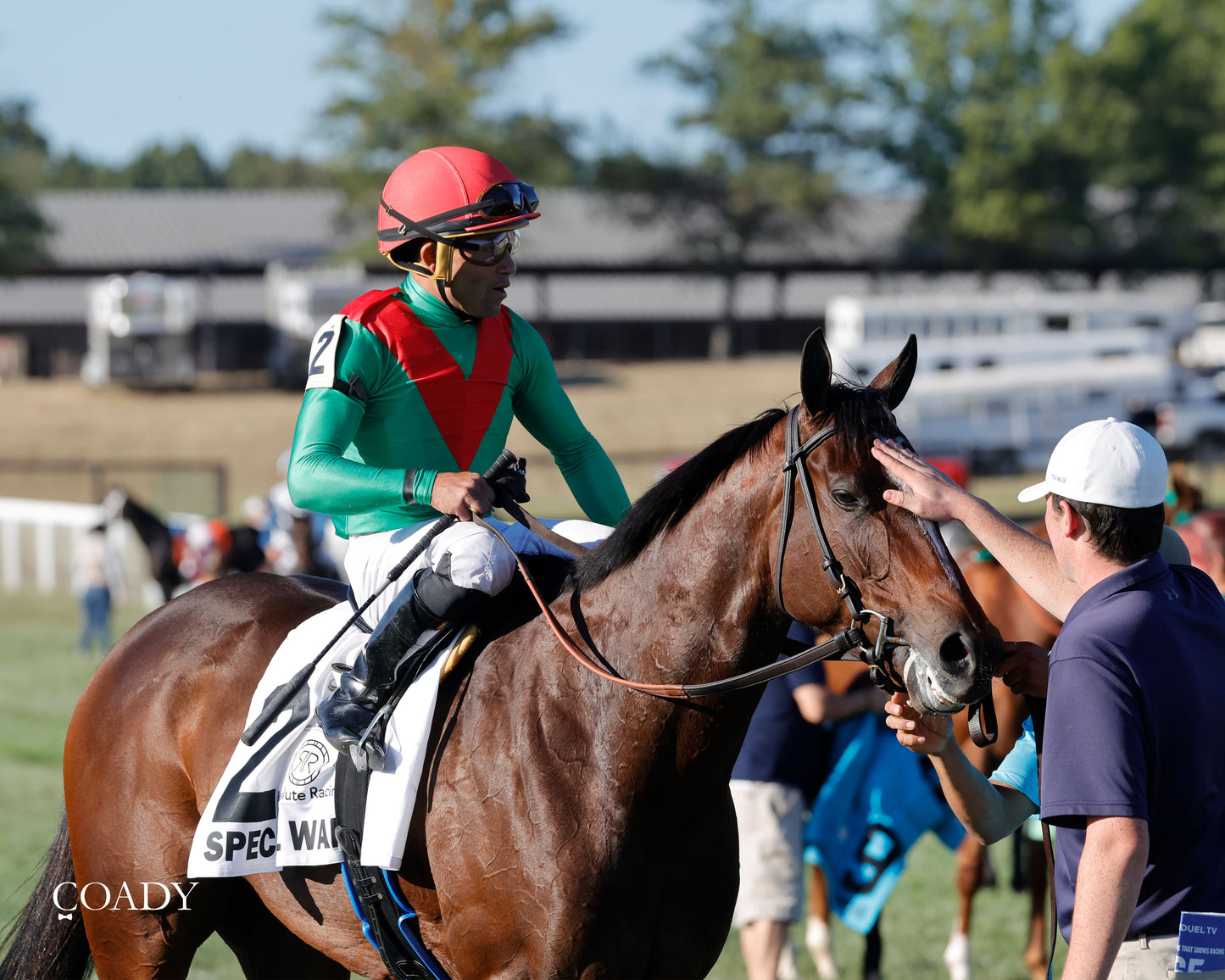 SPECIAL WAN - Resolute Racing Ladies Turf Stakes - 08-30-25 - R11 - KD - Comeback 03 - Coady Media - Kurtis Coady Photography