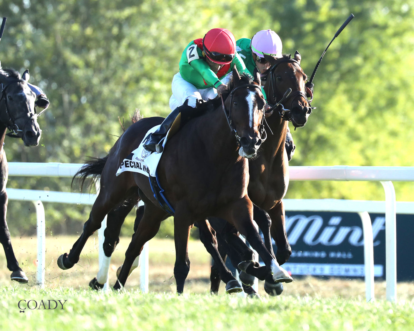 SPECIAL WAN - Resolute Racing Ladies Turf Stakes - 08-30-25 - R11 - KD - Finish 05 - Coady Media - Kurtis Coady Photography