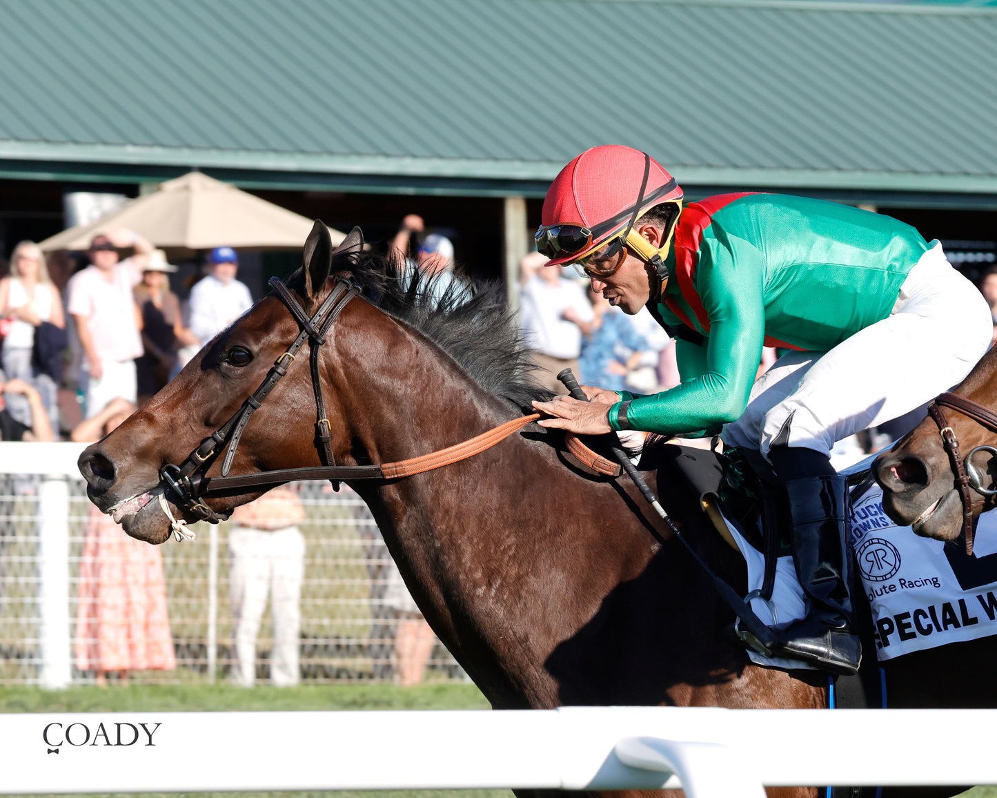 SPECIAL WAN - Resolute Racing Ladies Turf Stakes - 08-30-25 - R11 - KD - Inside Finish 01 - Coady Media - Kurtis Coady Photography