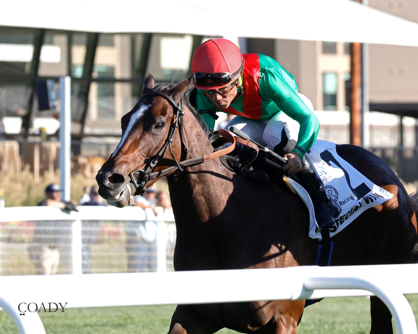 SPECIAL WAN - Resolute Racing Ladies Turf Stakes - 08-30-25 - R11 - KD - Inside Finish 02 - Coady Media - Kurtis Coady Photography