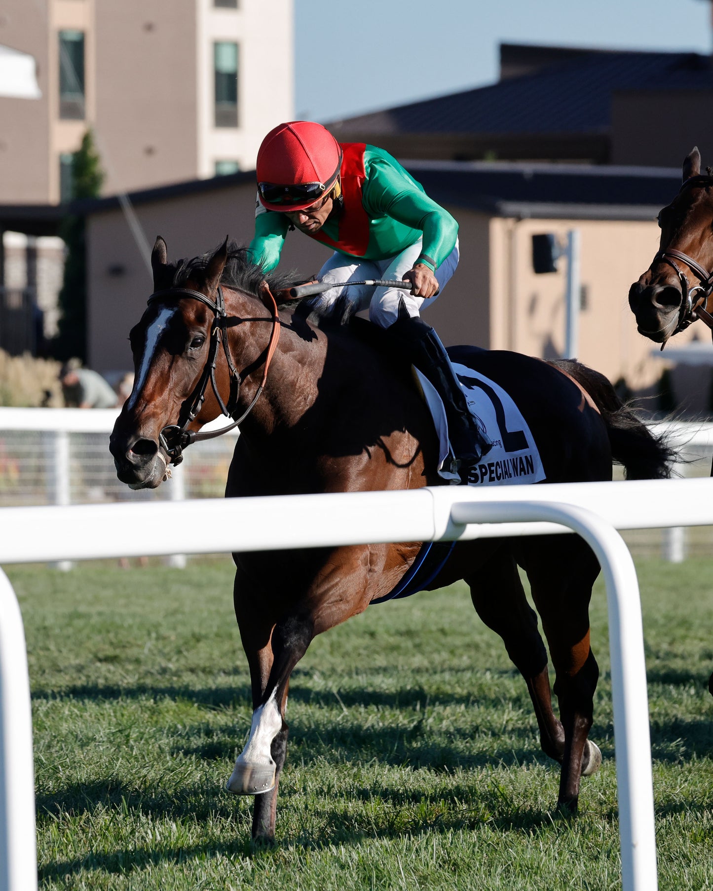 SPECIAL WAN - Resolute Racing Ladies Turf Stakes - 08-30-25 - R11 - KD - Inside Finish 03 - Coady Media - Kurtis Coady Photography