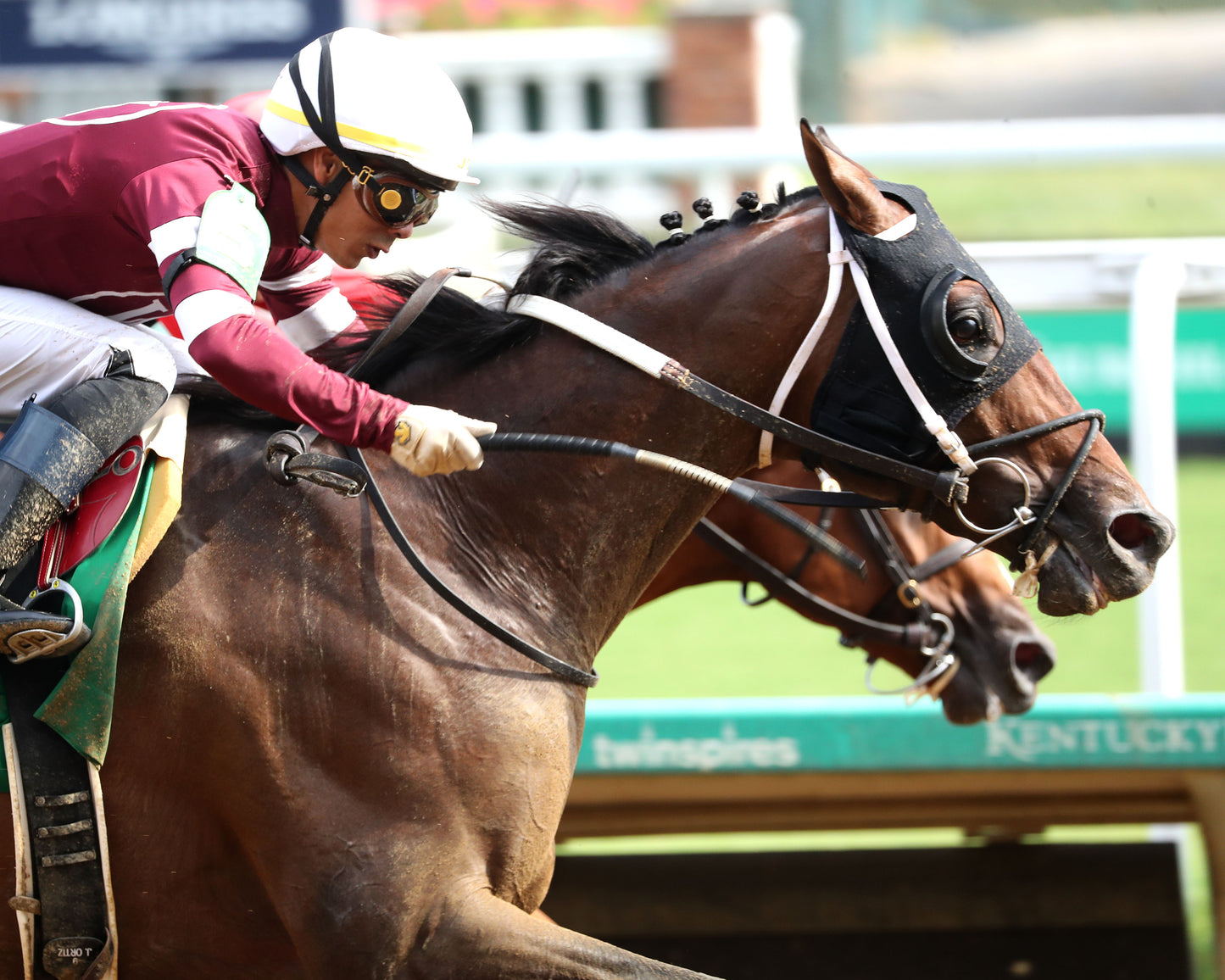 SPICE RUNNER - The Iroquois G3 - 44th Running - 09-13-25 - R08 - CD - Finish 02 - Coady Media - Kurtis Coady Photography