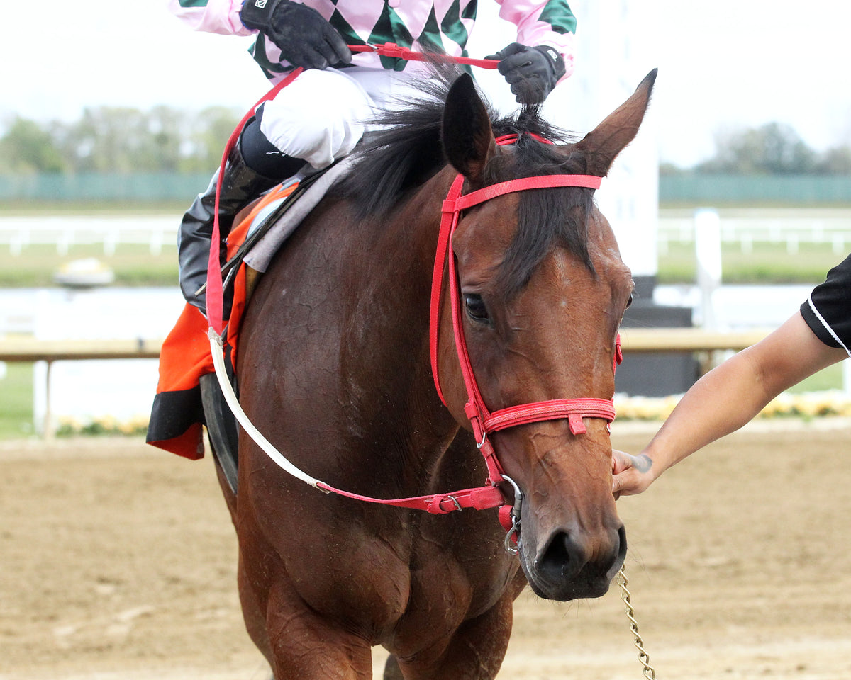 SPIRITED JUSTICE - ITOBA Stallion Season Fillies - 13th Running - 09-30-26 - R07 - Horseshoe Indiana - Comeback 01 - Casey Cable
