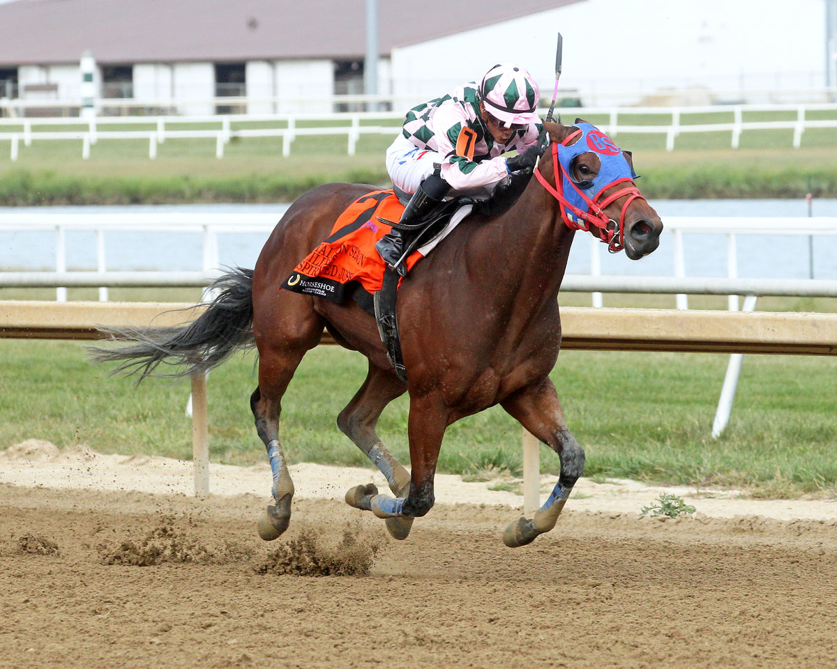 SPIRITED JUSTICE - ITOBA Stallion Season Fillies - 13th Running - 09-30-26 - R07 - Horseshoe Indiana - Finish 02 - Casey Cable