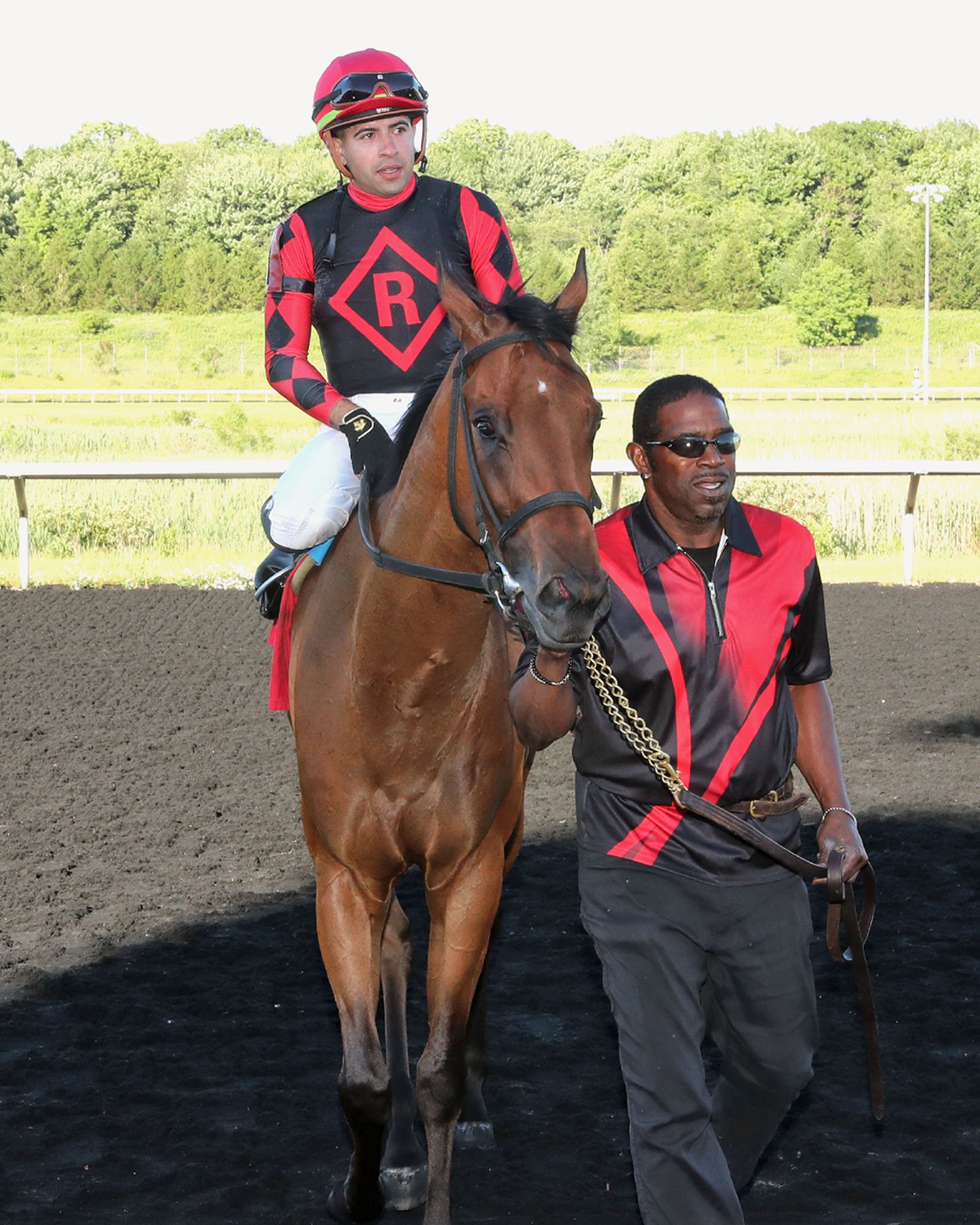 SQUAD GOALS - The 20th Running of The Tom Ridge Stakes - 06-15-26 - R07 - PID - Come Back