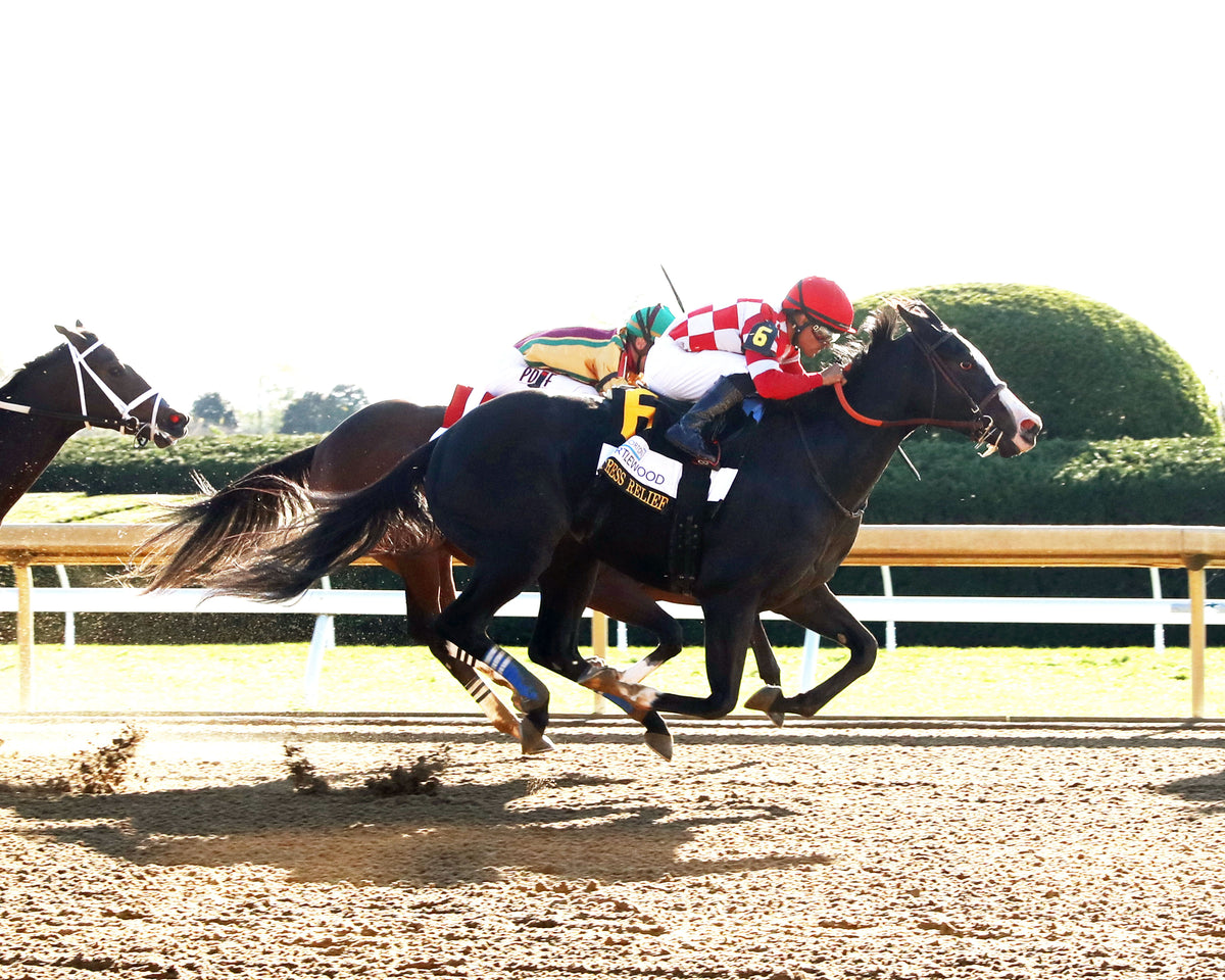 STRESS RELIEF - The Dean Dorton Myrtlewood - 10-23-26 - R08 - KEE - Finish 01