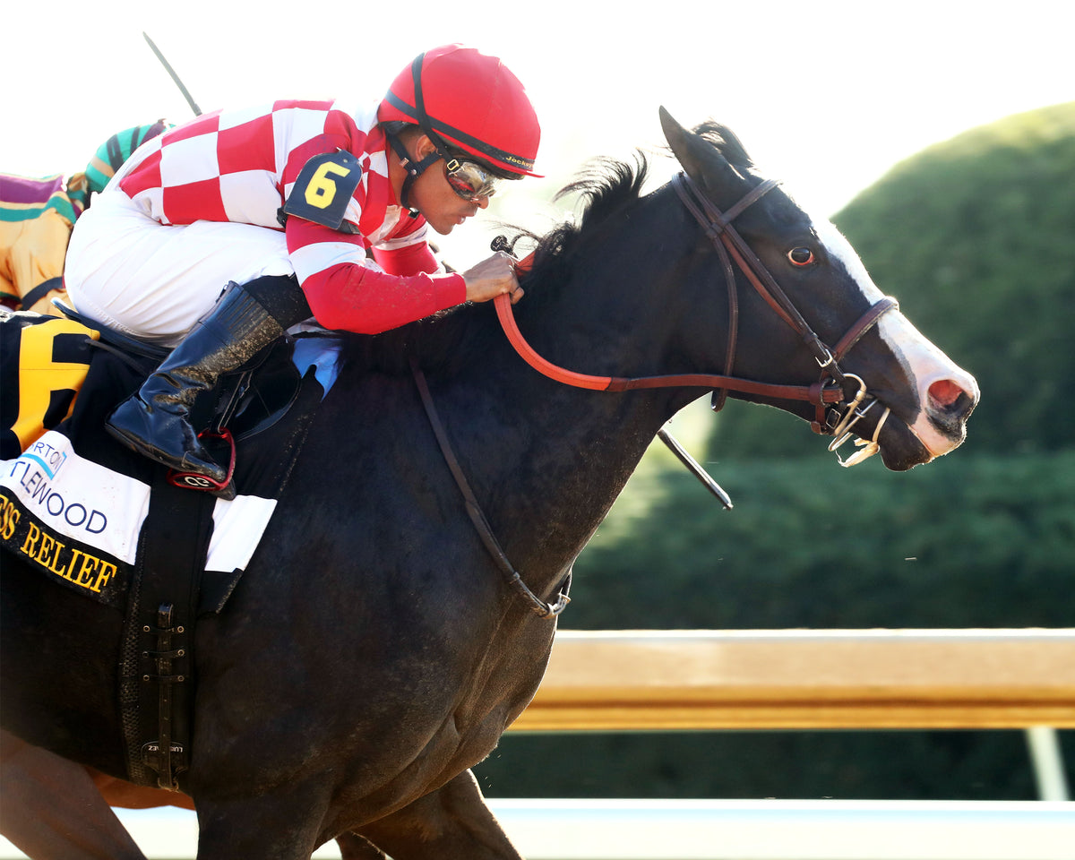 STRESS RELIEF - The Dean Dorton Myrtlewood - 10-23-26 - R08 - KEE - Finish 03
