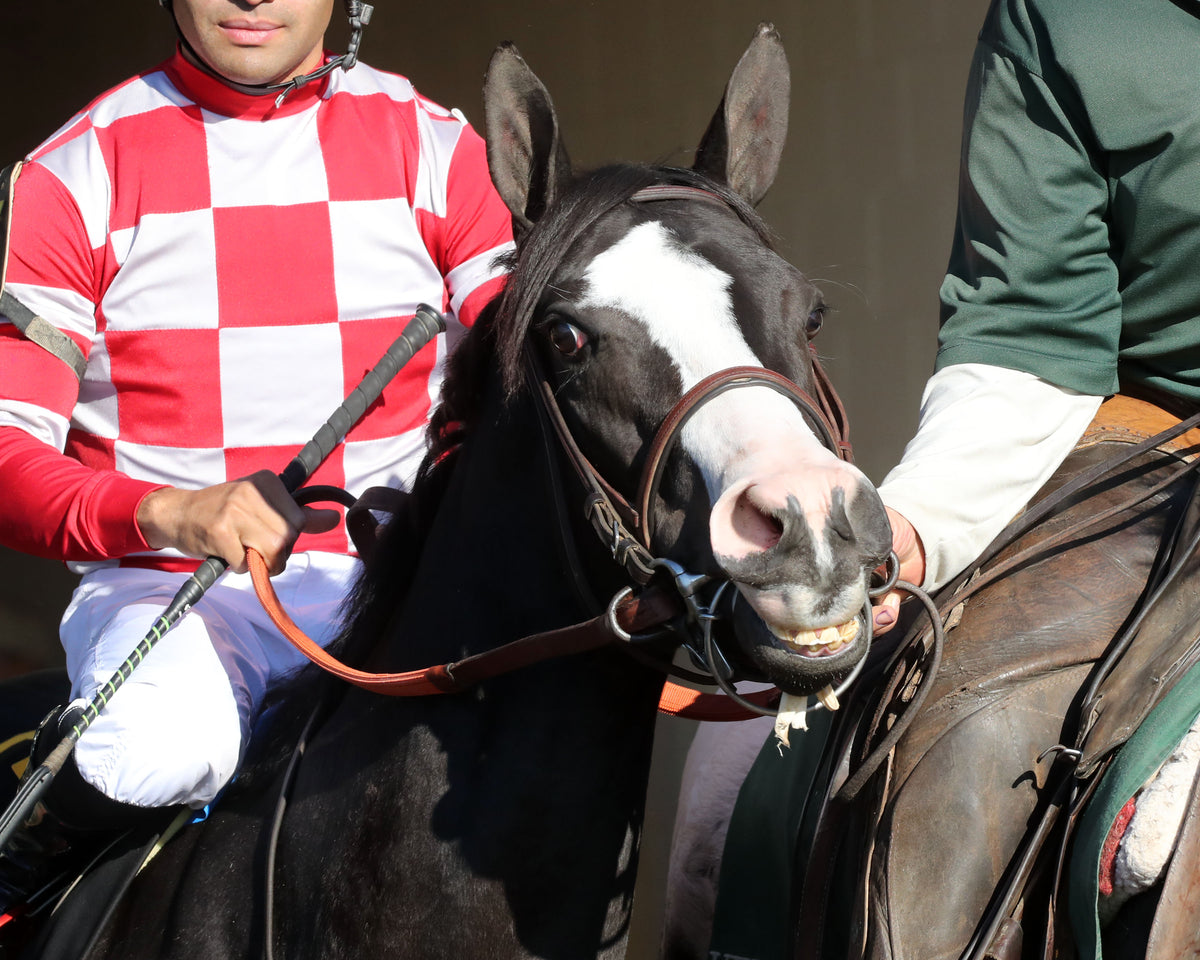 STRESS RELIEF - The Dean Dorton Myrtlewood - 10-23-26 - R08 - KEE - Post Parade 03