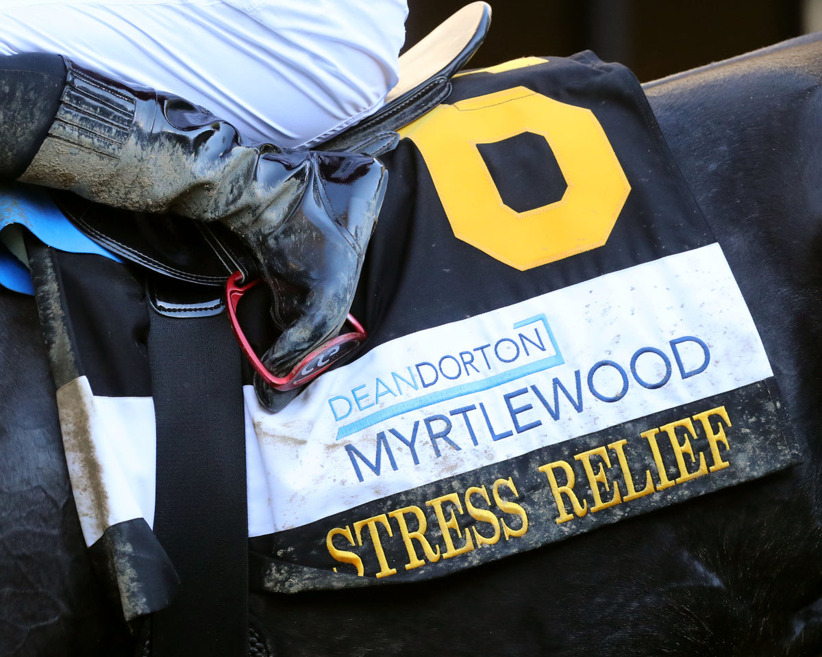 STRESS RELIEF - The Dean Dorton Myrtlewood - 10-23-26 - R08 - KEE - Saddle Towel 01