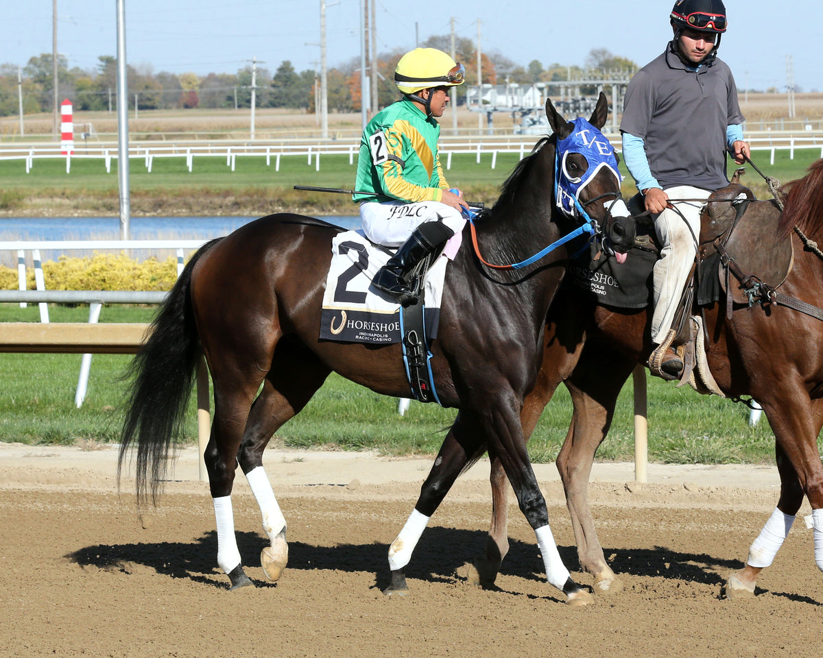 TAKEITANDRUN - Strong Tide Overnight Handicap - 2nd Running - 10-28-26 - R06 - Horseshoe Indiana - Post Parade 01 - Sammantha Pagels - Coady Media - Kurtis Coady Photography