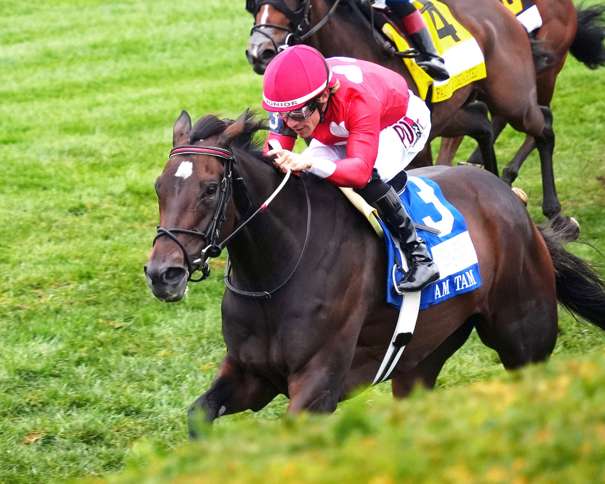 TAM TAM - 101026 - Race 09 - KEE The Queen Elizabeth II Challenge Cup GI - Inside Finish 01