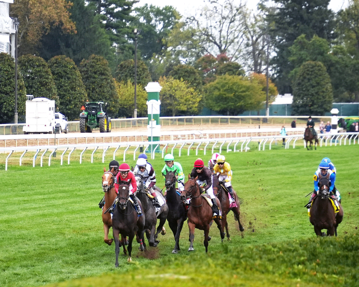 TAM TAM - 101026 - Race 09 - KEE The Queen Elizabeth II Challenge Cup GI - Inside First Pass 01