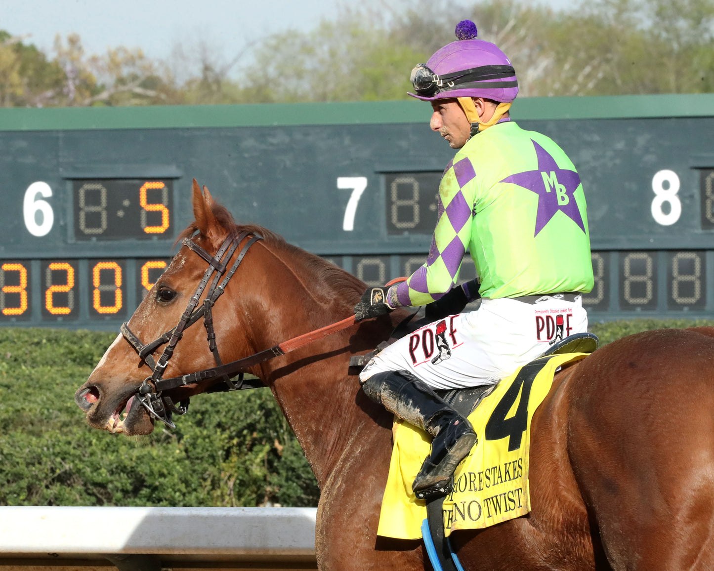 TEJANO TWIST - Whitmore Stakes G3 - 03-14-26 - R10 - OP - Come Back 01 - Coady Media - Kurtis Coady Photography